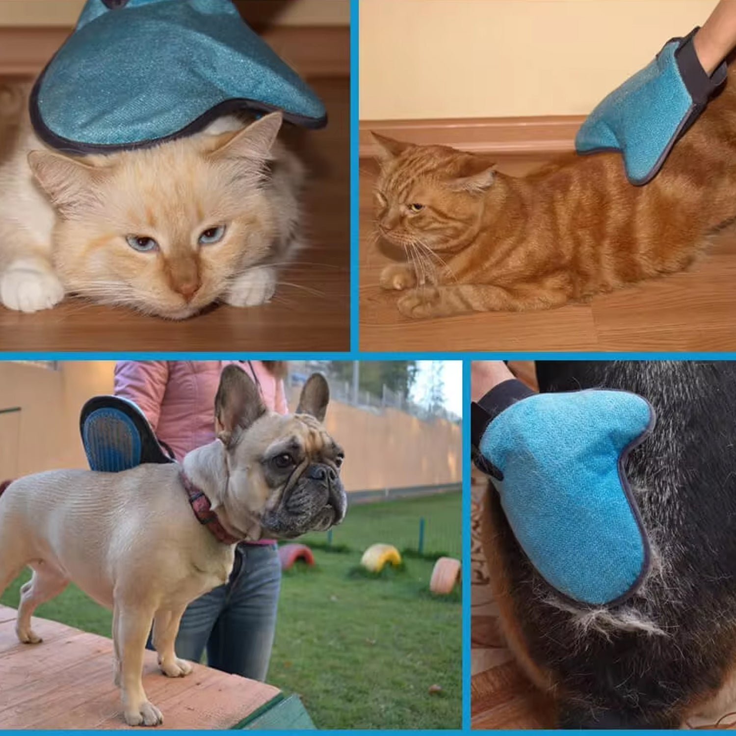 Pet Grooming Glove – Humanized Descending Brush (1 Pc) - Image 6