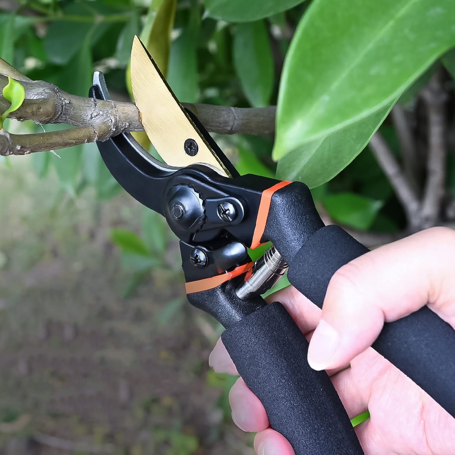 Heavy Duty Garden Pruning Shears (1 Pc) - Image 6