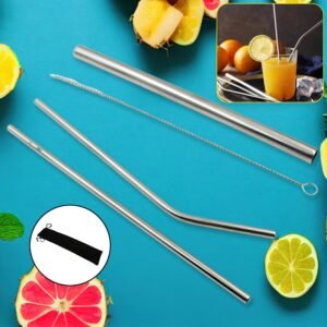 Reusable Stainless Steel Straws with Case for Drinking (4 Pc, Eco-Friendly)