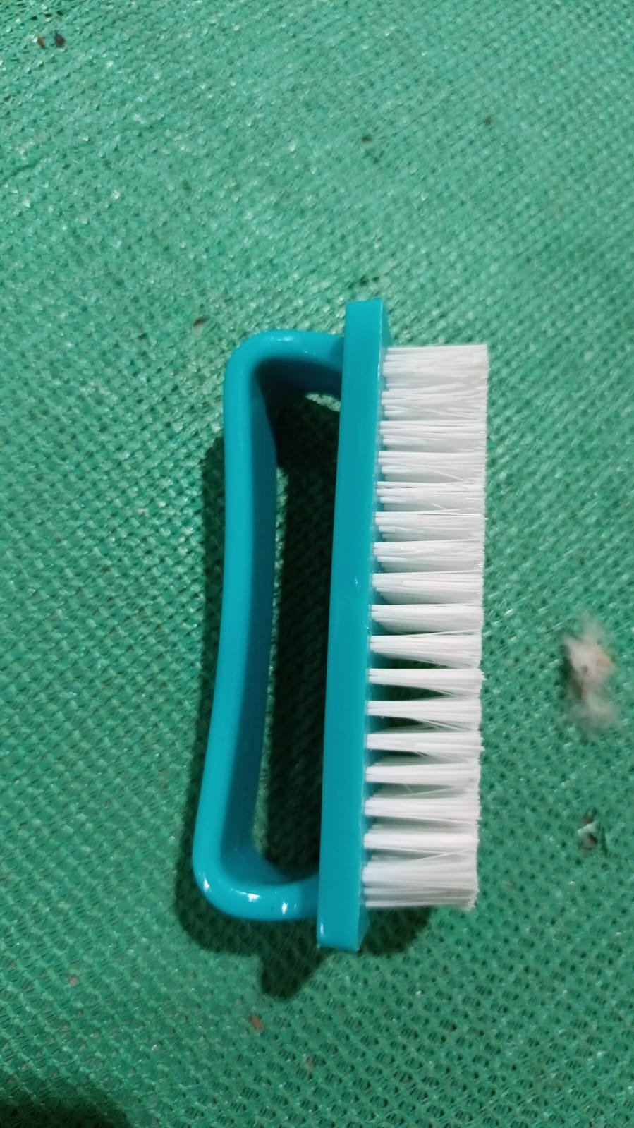 Multipurpose Scrubber Hard Brush with Handle (1 Pc / Small) - Image 8