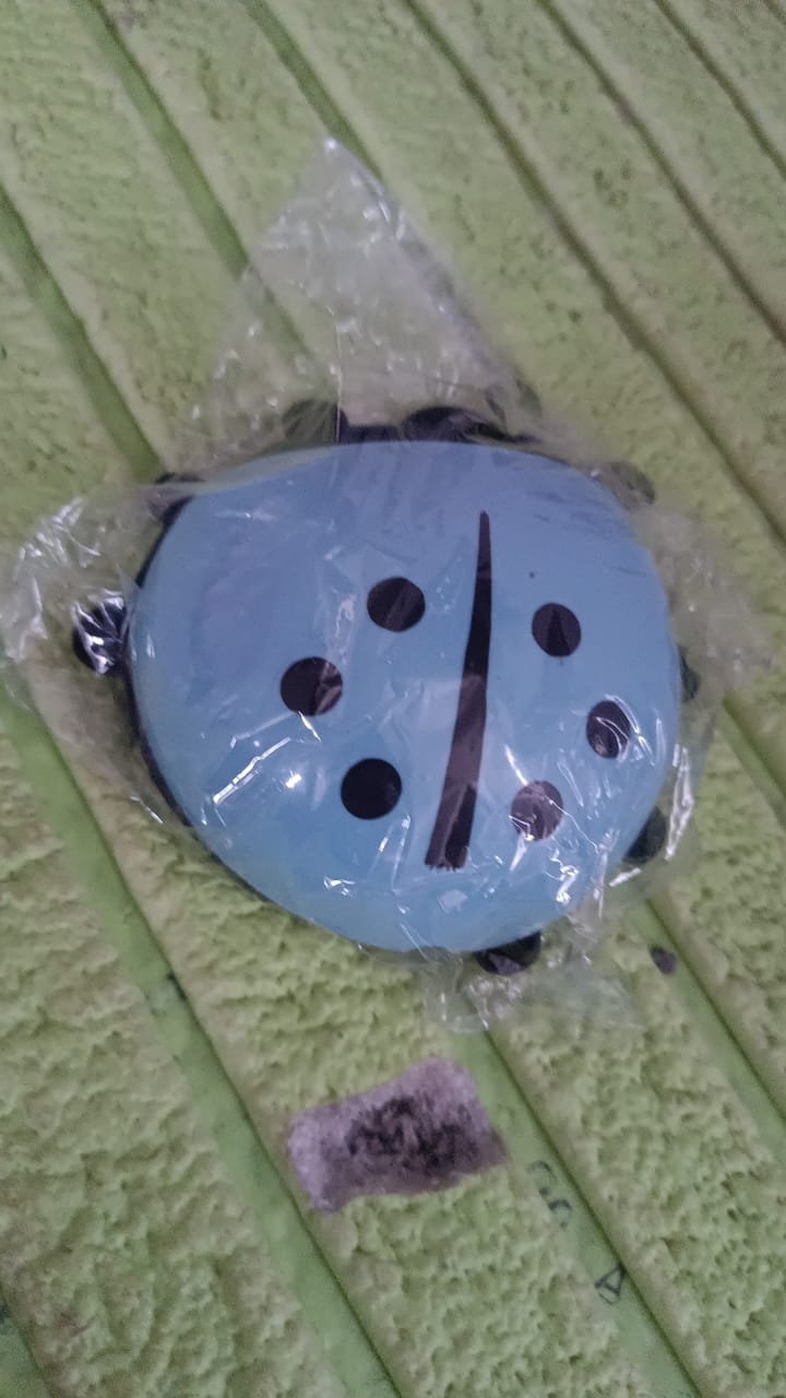 Ladybug Toothbrush Holder (1 Pc) - Image 11