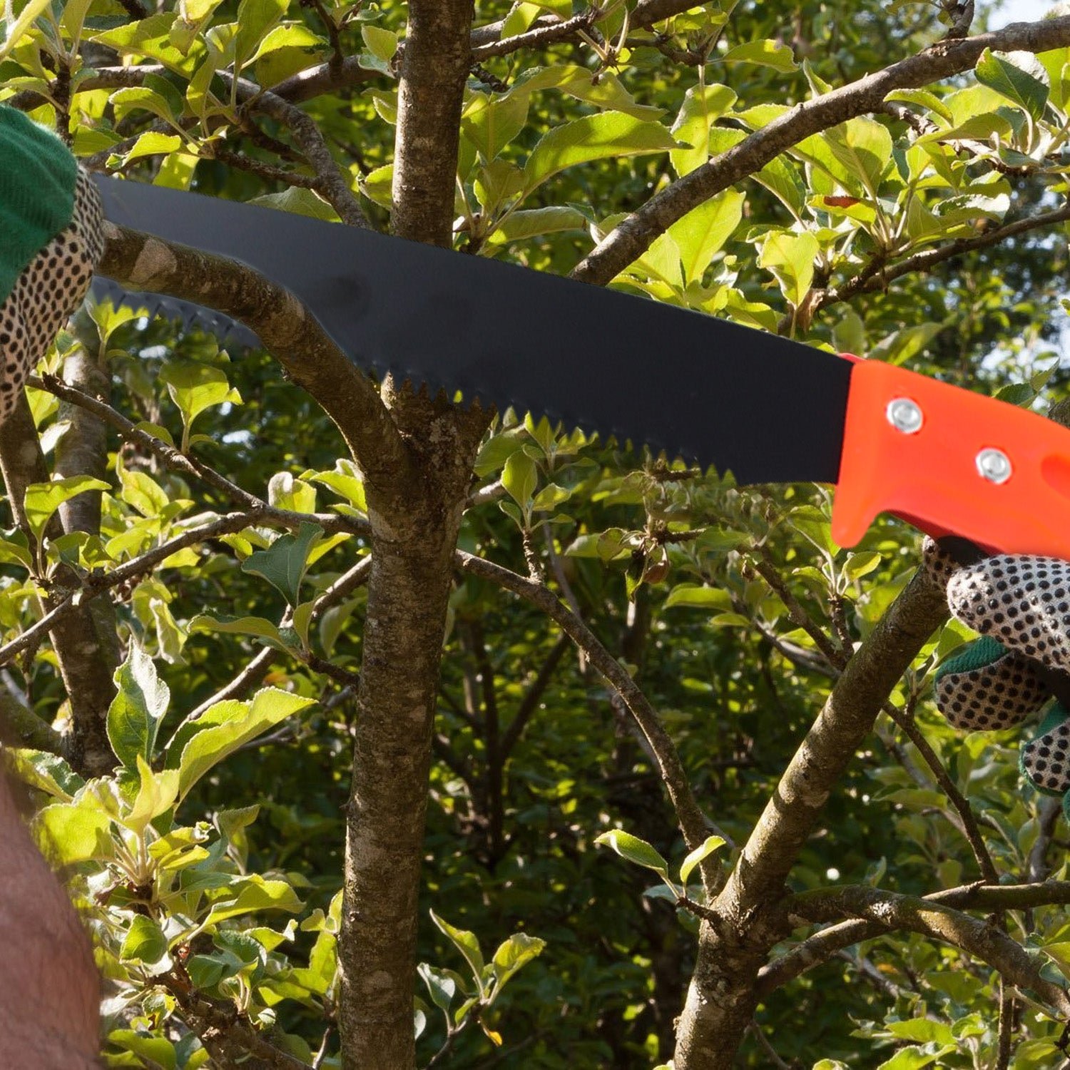 Hand Pruning Saw for Tree Branch Cutter (1 Pc) - Image 6