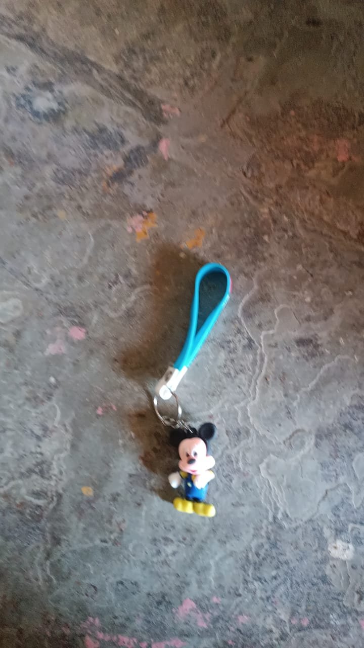 Cute Cartoon Silicone 3D Key Chain with Metal Hook & Strap (Pack of 1) - Image 7