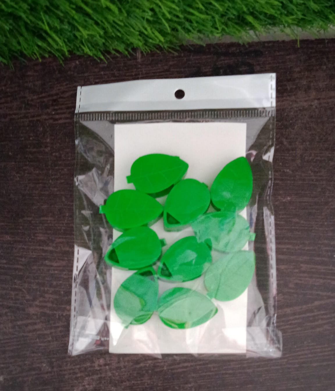 Plant Climbing Wall Clip, Self-Adhesive Vines Support Hooks for Indoor Outdoor Use (10 Pcs Set) - Image 8
